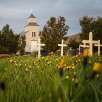 Seminár - Povinnosti obcí pri správe cintorína v roku 2026